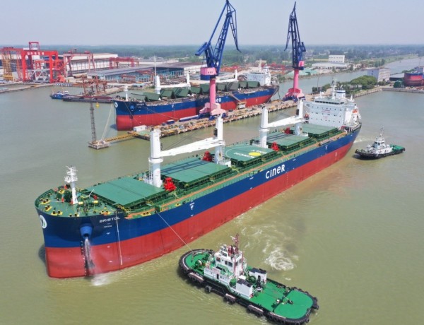 Management and Support Services